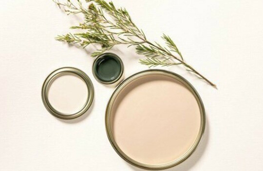 me_crop_l_colour-consultancy-image-2