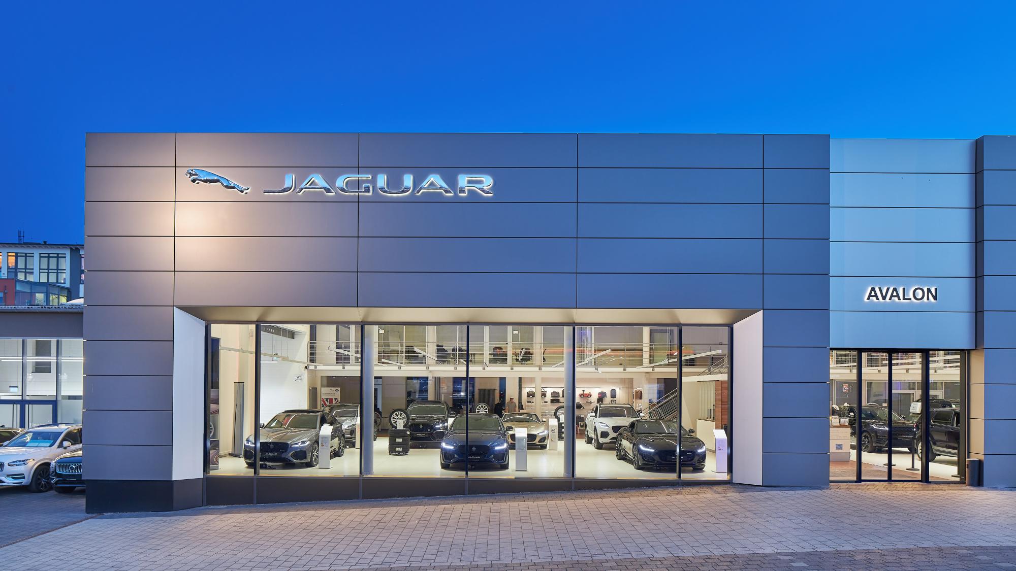 Jaguar 2