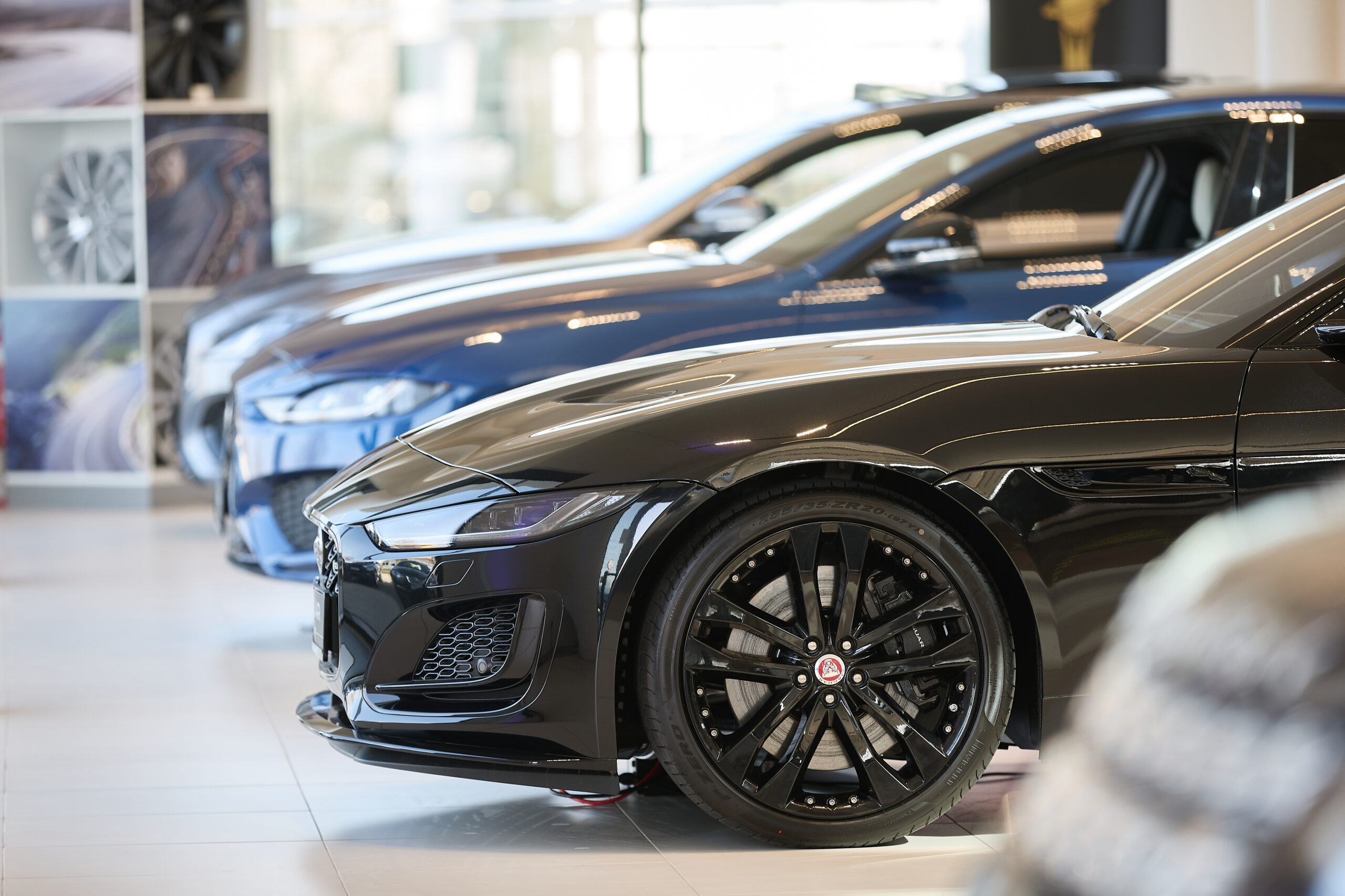 Jaguar